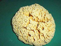 Spugna - Wikimedia Commons: info licenza